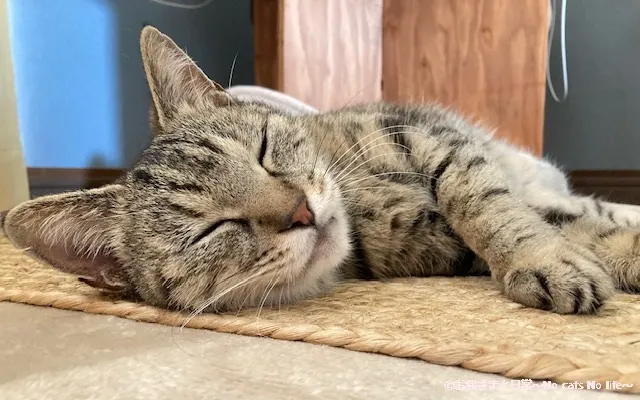 睡眠不足の状態