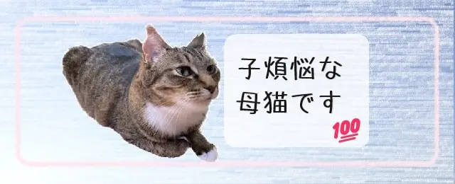 子煩悩な母猫です