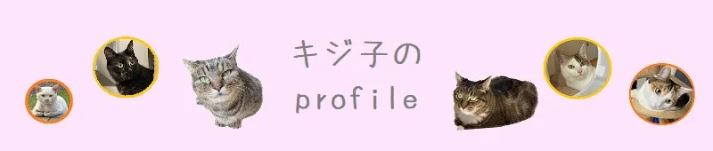 キジ子のプロフィール