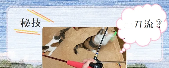 秘技・三刀流