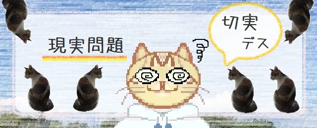 切実な現実問題