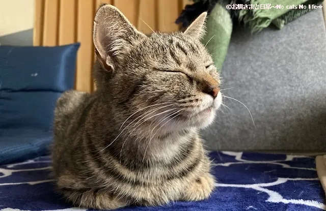 ニキビが出来ていない方