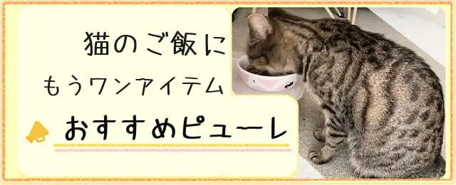 猫のご飯にもうワンアイテム！おすすめピューレ