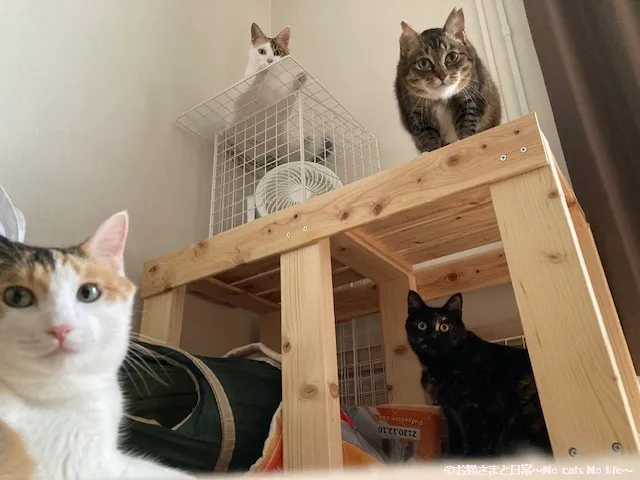 自作のすのこたつ