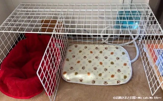 メッシュパネルとホットカーペット