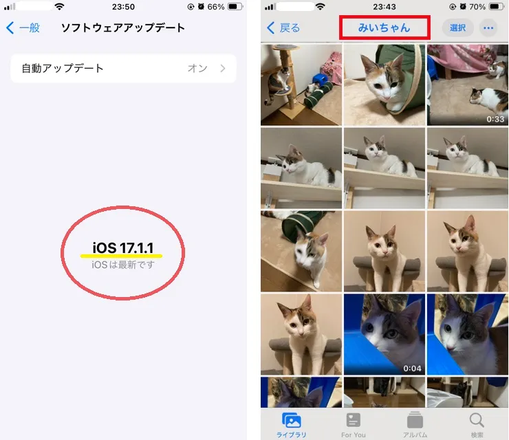 iPhoneのiOSバージョン情報とペット検索後の一覧