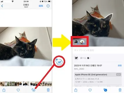 ペットの名前登録1