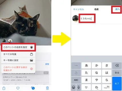 ペットの名前登録2
