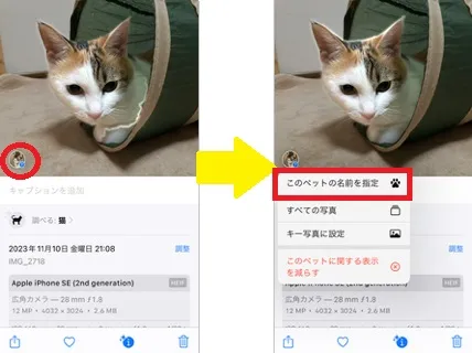 ペットの名前登録・写真変更1
