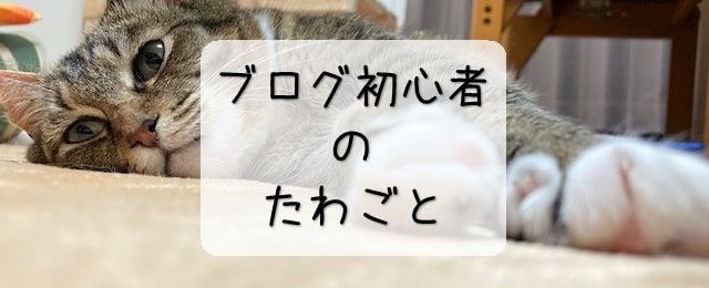 ブログ初心者のたわごと