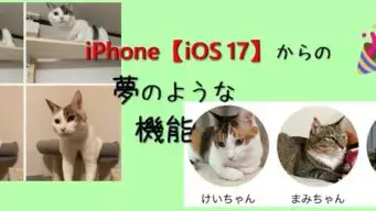 iPhone操作 | お猫さまと日常〜No cats No life〜