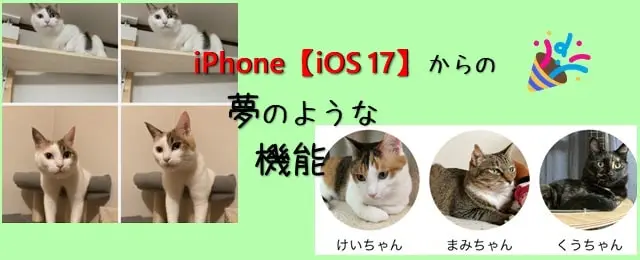 iOS 17.1.1】iPhoneでペットの写真検索 | お猫さまと日常〜No cats No