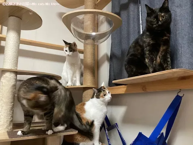 見た目はいたって元気