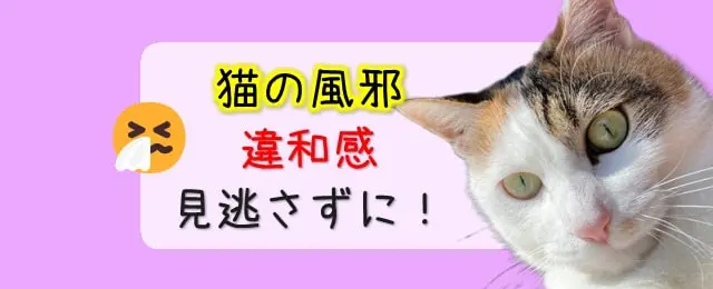 のりねこ様 お直し のりねこ様 お直し