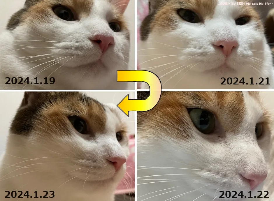 2024.1.19～2024.1.23の鼻の状態