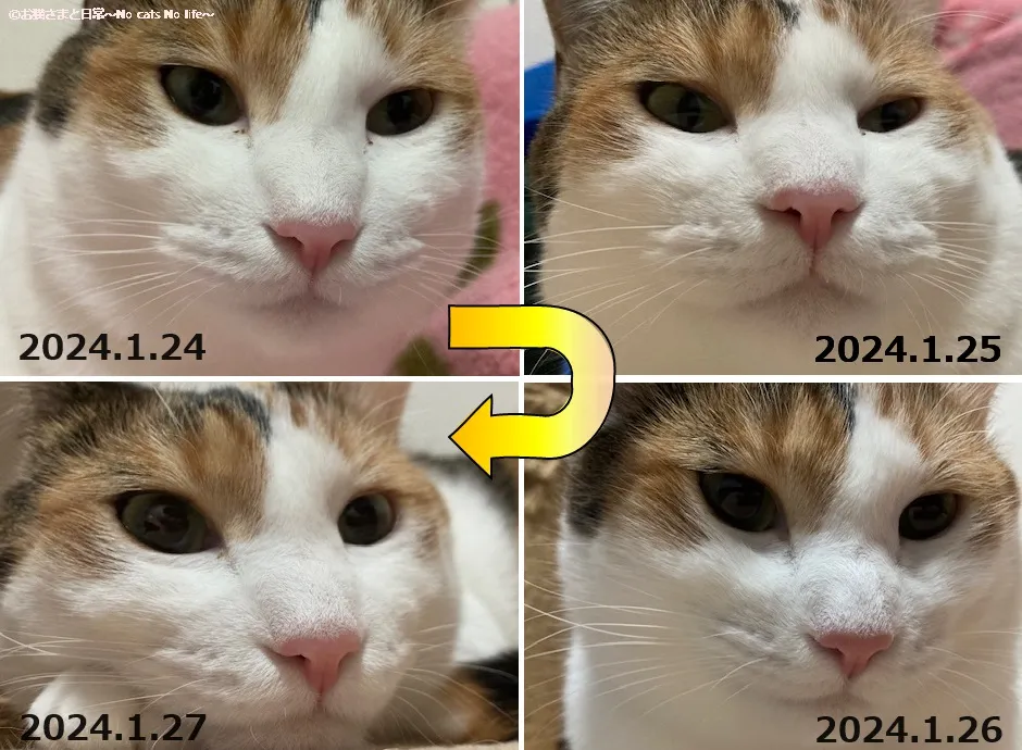2024.1.24～2024.1.27の鼻の状態