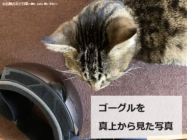 ゴーグルを真上から見た写真