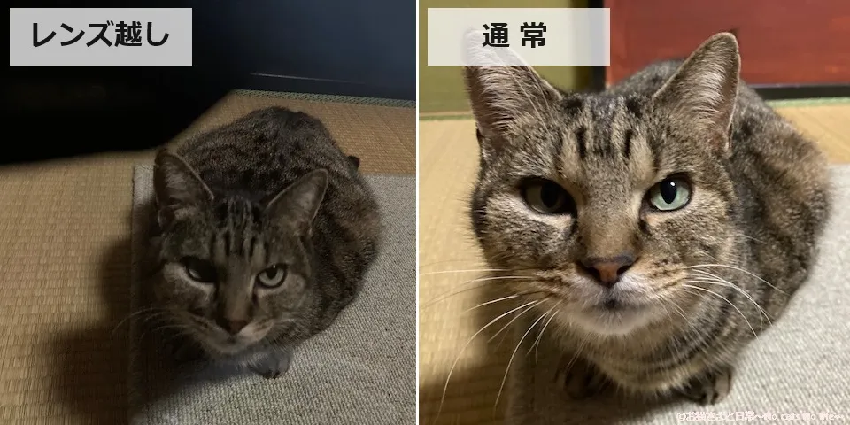 室内での見え方の違い