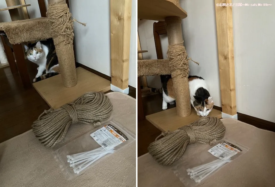 つっぱりタイプのキャットタワー(補修前)