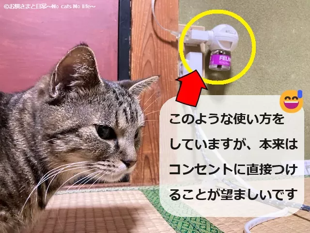 フェリウェイを設置